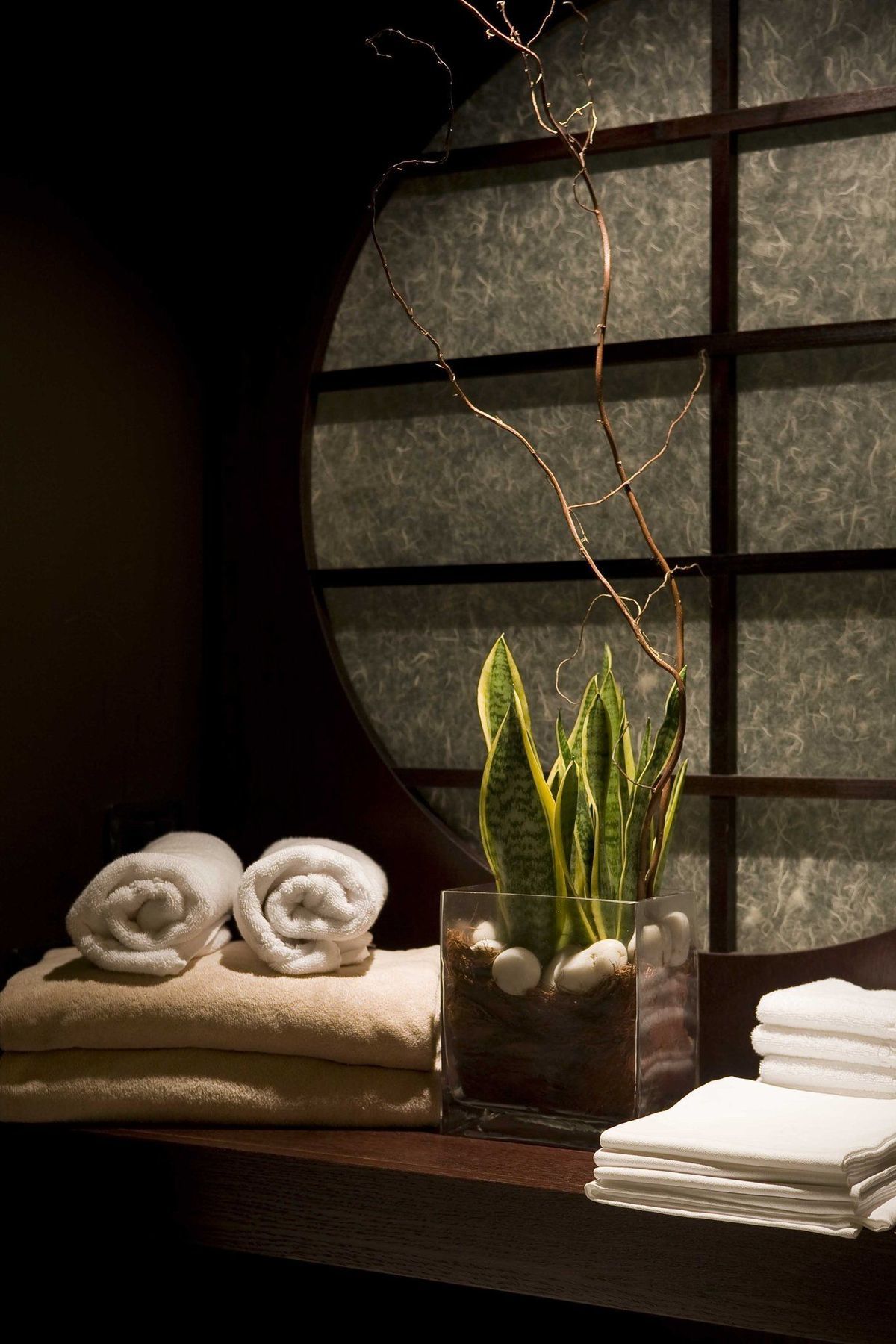 Royal Hotel Sanremo Fasilitas foto Sansevieria trifasciata in a spa